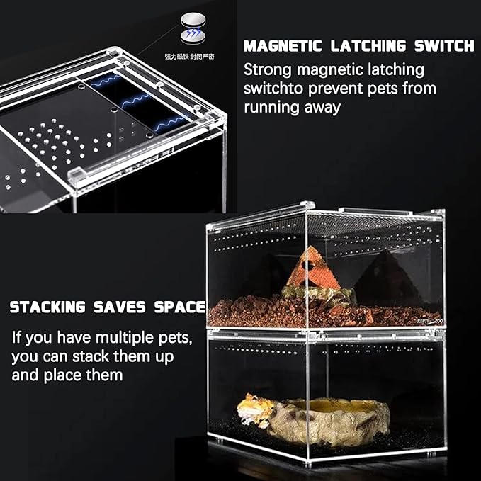 Reptile Terrarium - Amphibian Tank Starter Kit, Eco Rainforest Feeding Box, Amphibian Feeding Box, Suitable for breeding Lizards, Snakes, Chameleons,Jumping Spiders