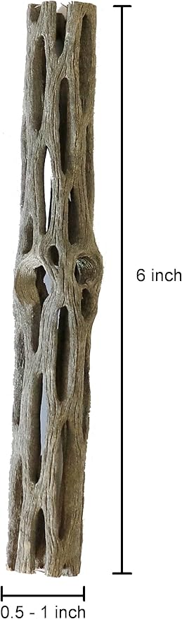 Natural Cholla Wood for Aquarium Decoration Shrimp and Fish Tank (6 Inch (5 Pack))