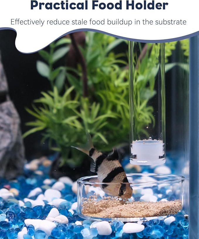 Pawfly Aquarium Feeding Dish Set – Clear Glass Shrimp Feeder Tube with Dish & 2 Suction Cups, Feeding Supplies for Betta and Tropical Fish Tanks