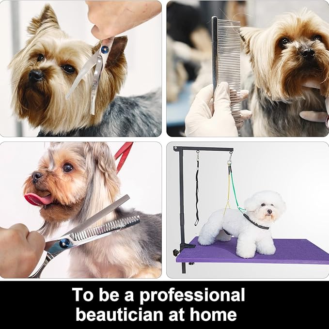 Adjustable Dog Grooming Arm with Clamp,2 No Sit Haunch Holder&Loop Noose,Adjustable Height,Foldable Dog Grooming Table Arm for Small Dogs&Puppies,Arm for Grooming Tables,Pet Grooming Stand