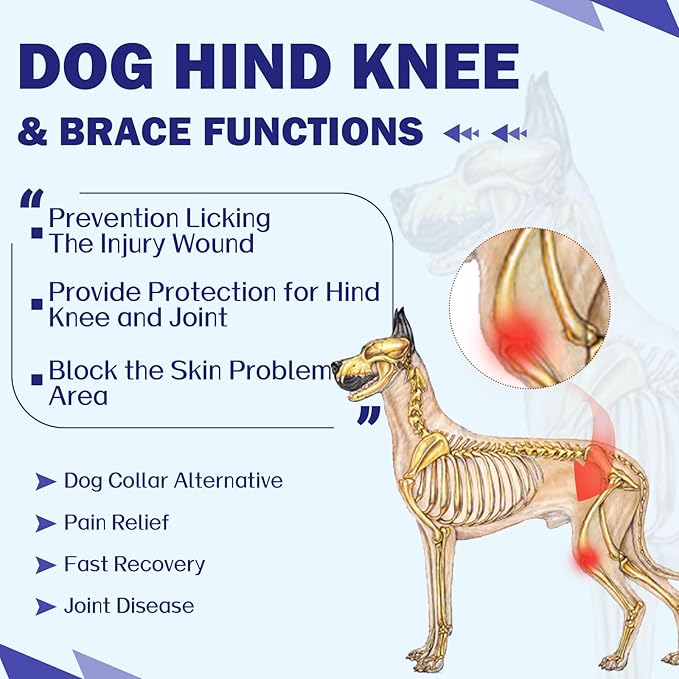 ROZKITCH Dog Surgery Leg Sleeve Rear Legs, Male Female Pet Prevent Licking Wound Elbow Knee Protector, Dog Recovery Suit Cone Collar Alternative Pants Shirt for Wound Heal Wrap Blue M