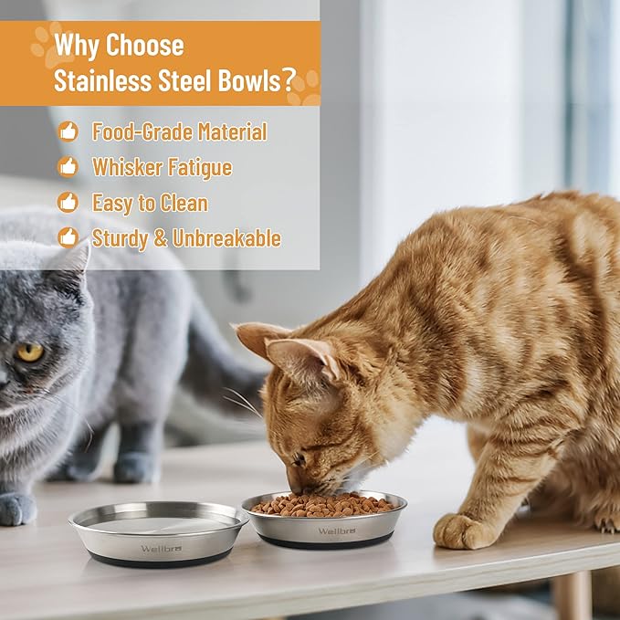 Cat Bowls, 4 Pcs Stainless Steel Pets Bowls for Food and Water, Whisker Fatigue Shallow Non-Slip Cat Dishes Plates for Small Dog Puppies Cats