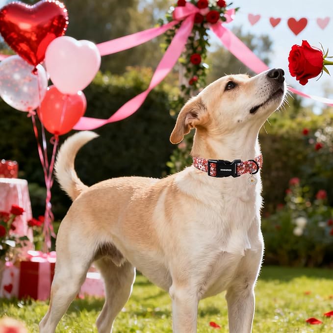 DOGWONG Red Flower Dog Collar, Cute Adjustable Floral Collar, Girl Female Dog Collar with Strong Plastic Buckle for Small Medium Large Dogs,S