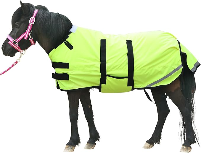 Foal/Mini Horse Size 30"-48" Waterproof & Breathable 300 Denier Winter Turnout Blanket with 150g Polyfill Green Medium