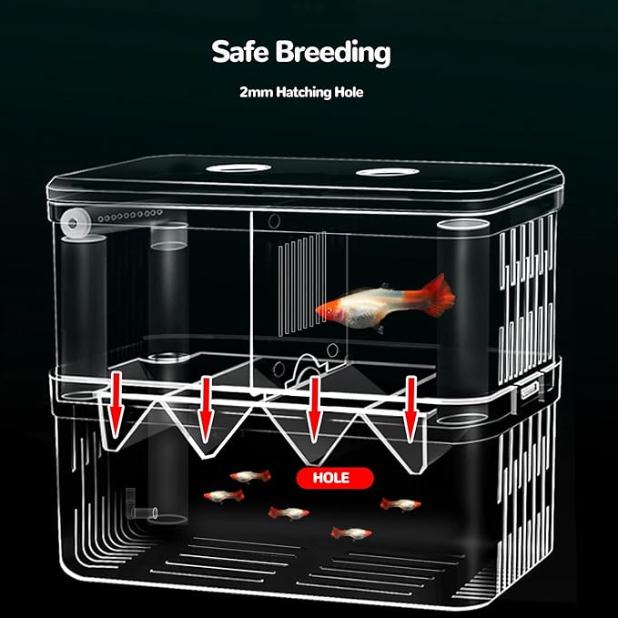 J-star Large Fish Breeder Box for Aquarium Tank, Acrylic Breeding Box for Guppy/Betta/Shrimp/Clownfish, Baby Fish Hatchery & Isolation Tank