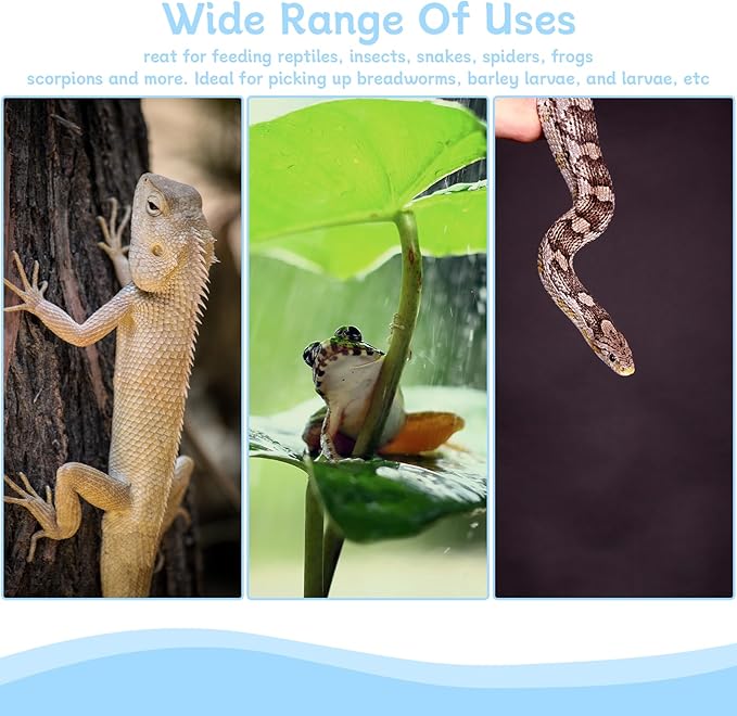 RUIAN 9.64in Reptile Feeding Clip, Plastic Tongs, Safe, Comfortable, for Tortoise, Lizard & More，Clip Reptile Plastic Tweezers Tongs