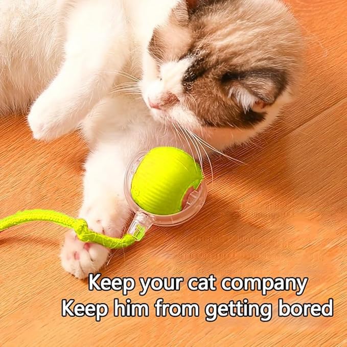 Automatic Interactive Rolling Cats Dog Toys Ball for Indoor- Rechargeable Activate Interactive Dog Pet Toy for Indoor, Self-Playing Automatic Moving Kitten Toys for Cats