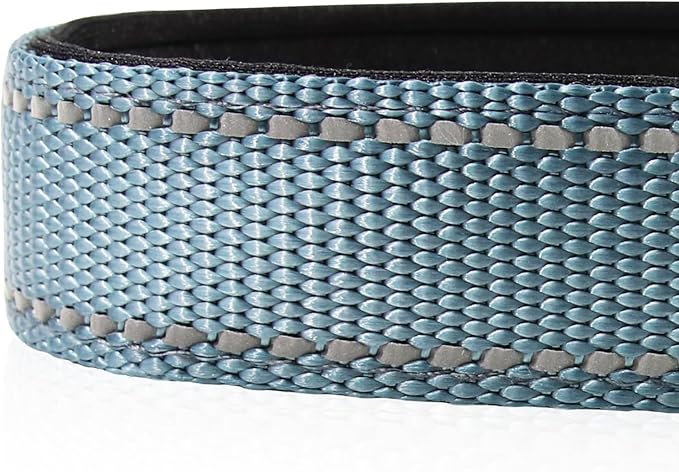 Joytale Reflective Dog Collar, Soft Neoprene Padded, Metal D-Ring, Nylon Pet Collar Adjustable for Puppy and Small Dogs, Gray, XS
