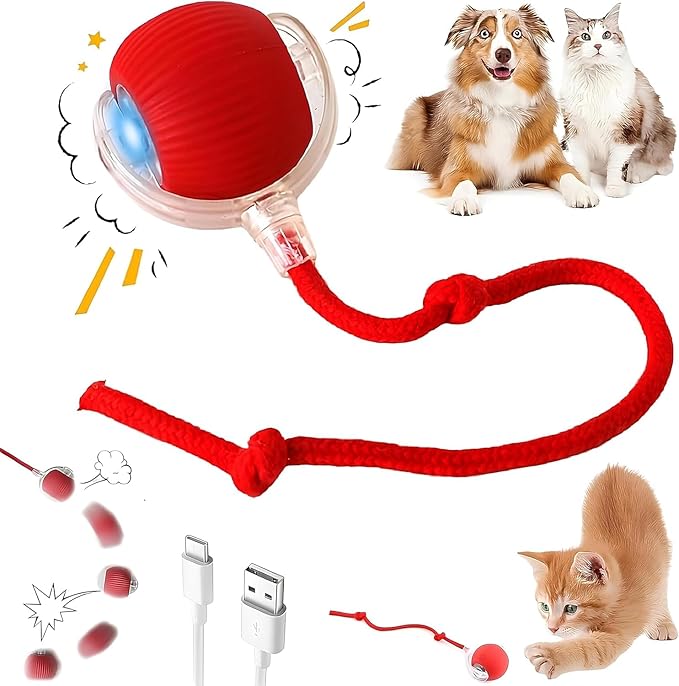 Interactive Electric Automatic Rolling Moving USB Rechargeable Self Activated Play Stimulation Toy Smart Chase Teaser Ball with Speedy Tail Rope for Bored Adult Indoor Cats and Dogs, Red Color