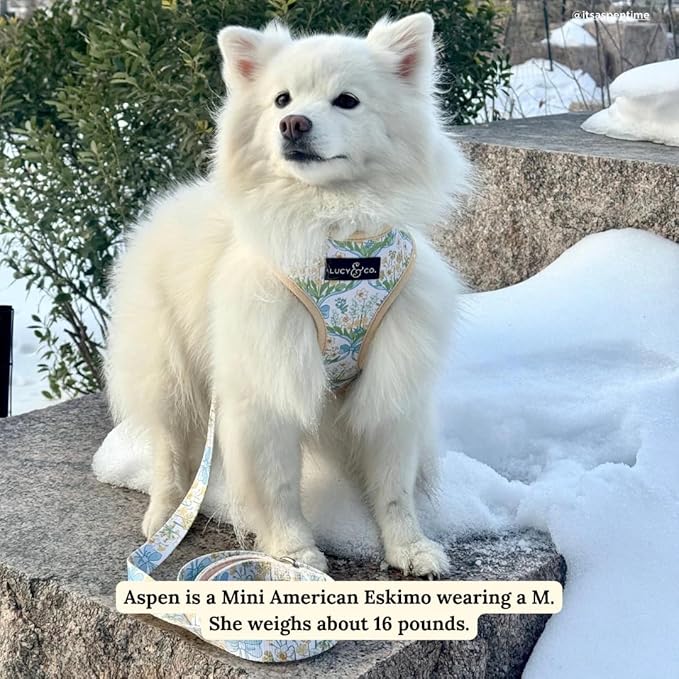 Lucy & Co. Sunshine and Daffodils Reversible Dog Harness, Adjustable Comfort Fit with Dual Leash Attachments, X-Small