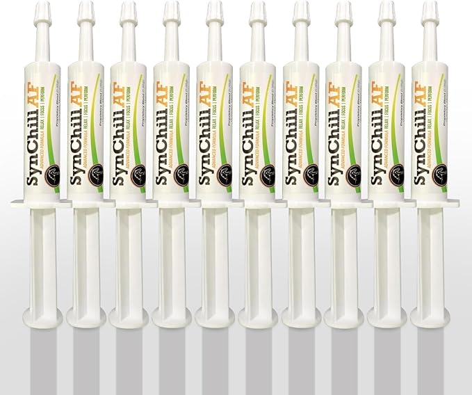 SynChill AF Calming Gel for Nervous Horses - Single Serving - Advanced Formula with L-Theanine, Increased Potency, 100% Natural Supplement, Disposition & Confidence Support for Horses - 10 Pack