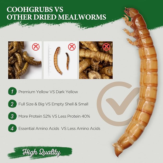 Dried Mealworms for Birds, Non-GMO High Protein Chicken Treats & Poultry Feed, 2 lb Bag