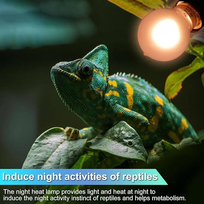 Reptile Heat Lamp 2 Pack 50W, Daylight Heat Bulb for Reptiles & Amphibians, Reptile Heat Light for Bearded Dragon, Lizard, Turtle