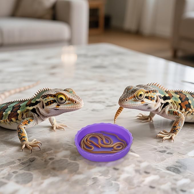 6 PCS Crested Gecko Food and Water Bowl, Reusable Silicone Reptile Feeding Cups for Lizard Anoles Bearded Dragons Tank Terrarium Accessories Supplies for Tortoise, Crab and Small Pet 6 Colors