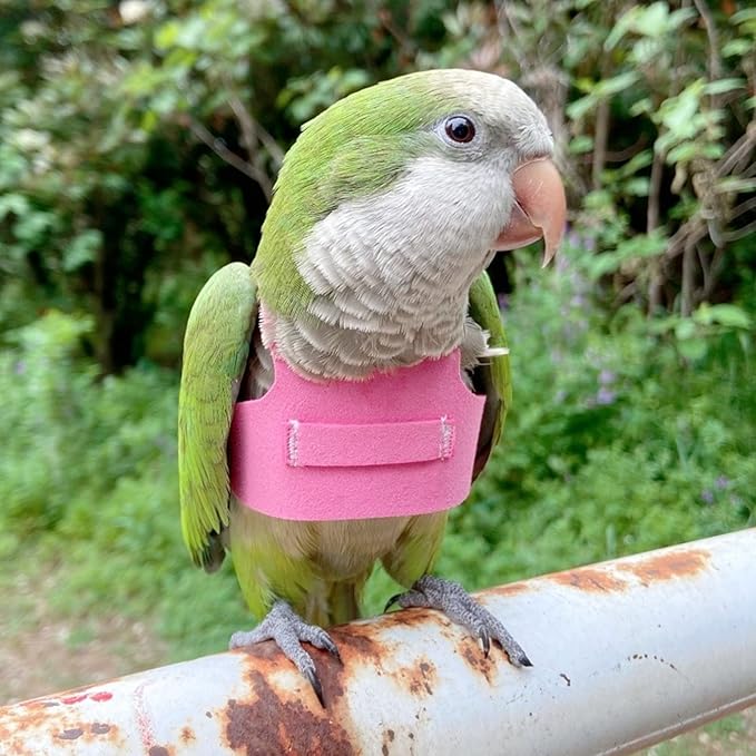 Bird Flight Harness Vest, Parrot Flight Suit with Leash for Parakeets Cockatiels Conures Budgies, Bird Flying Clothes with Rope and Handle for Outdoor Activities Training (L, Pink)