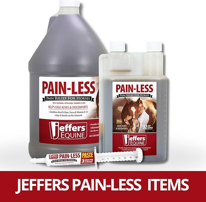 Jeffers Equine Pain-Less Vitamin Formula for Horses – 1 Gal Supplement – Support Healthy Inflammatory Response, Comfort – Devil’s Claw, Yucca, and Vitamin B-12 – Gentle on Stomach – Made in The USA