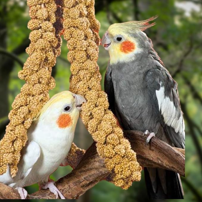 Bird Feed & Treat Bundle – 44 oz Maintenance, Mini Bird Food & 2 lb Nutritious Spray Millet for Pet Birds' Health, Vitality, and Balanced Diet