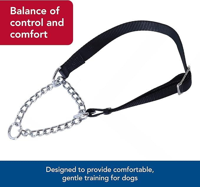 Coastal Pet - Check-Choke - Adjustable Check Training Collar for Dogs, Red, 3/4" x 14"-20"