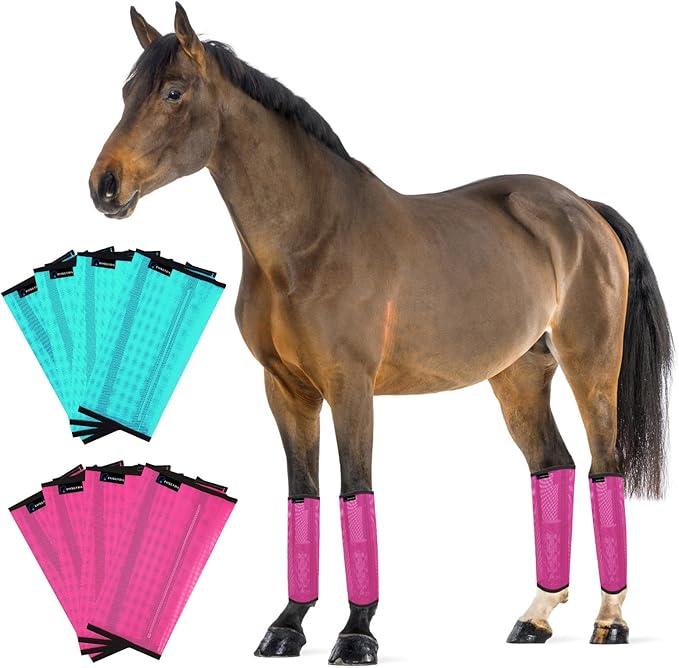 FOXLVDA Horse Fly Boots - Fly Boots for Horses Set of 8, Comfortable Horse Leggings, Mesh Material Design with Metal Support Bars for Reduces Stomping & Leg Fatigue (Green-Rose, Large)