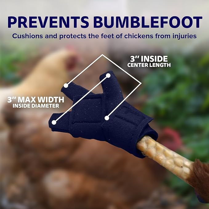 Chicken Shoes for Injured Feet – Protective Neoprene Footwear for Chicken, Open-Toe Design for Bumblefoot Relief, Made in USA - Standard, 3" Max. Inside Width, Navy