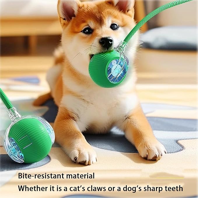 Interactive Cat Toy Ball for Indoor Cats - 3-Speed Smart Rolling Ball with Flashing Lights, USB Rechargeable Automatic Motion Kitten Toys for Bored Adult Cats & Playful Kittens