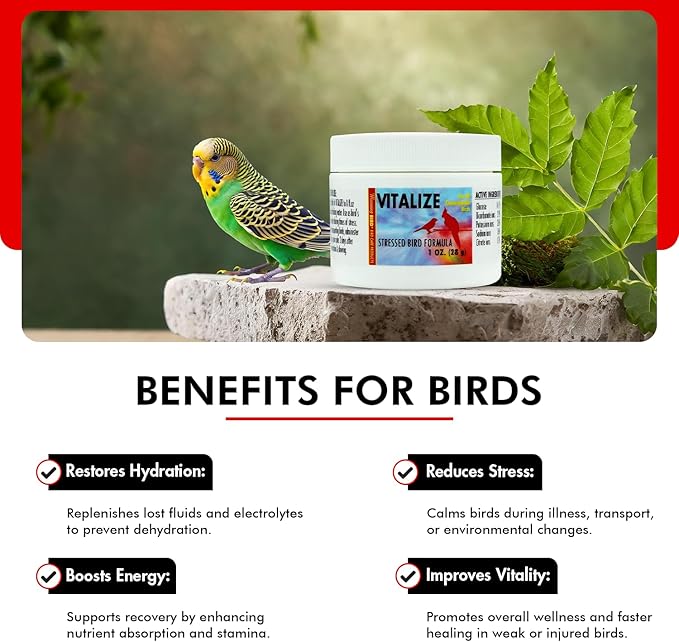 Morning Bird Vitalize for Birds 1 Oz – Stress Relief & Dehydration Supplement – Supports Hydration, Energy, Balance & Muscle Recovery – Easy Water-Soluble Supplement for All Bird Species.