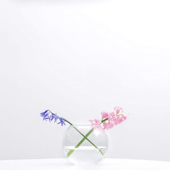 WGV Bowl Glass Vase, Diameter 6", Height 5", Open Width 4", (Multiple Sizes Choices) Clear Bubble Planter Terrarium Fish Bowl for Wedding Event Home Decor, 1 Piece (VBW0006)