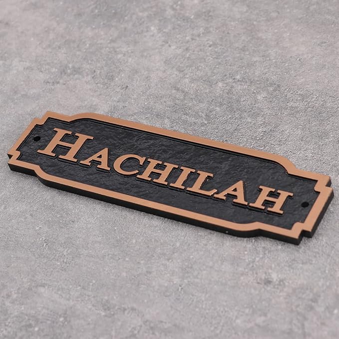 Acrylic Horse Stall Name Plate, 2.4" x 8" Personalized Stall Signs, UV Protected, Custom Pet Name Sign, All Weather Adhesive, Mounting (Antique Copper, Style 2)