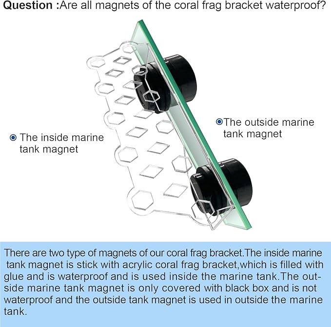 Aquarium Choice Coral Plug Holder Coral frag Rack Magnetic Holder Reef Magnets Holder for frag Racks (Coral Holder with 11 frag Plug)