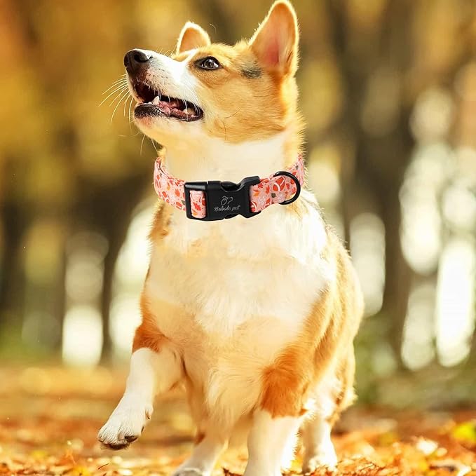 Fall Dog Collar, Cute Football Pattern Puppy Collar, Orange Adjustable Cotton Holiday Tanksgiving Dog Collars for Small Medium Large Boy&Girl Dogs L