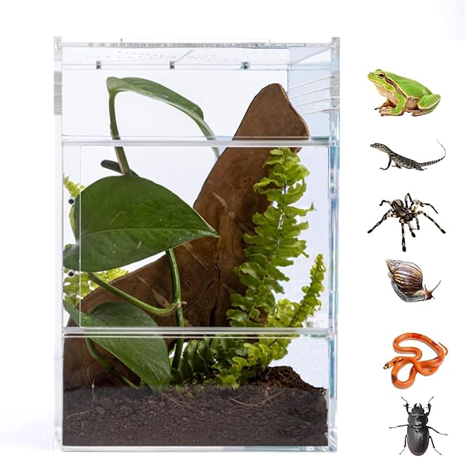 Acrylic Jumping Spider Habitat, Insect Terrarium, for Spiders, Tarantulas, Snail, Mantis, Lizard, and Small Reptiles, with Two Magnetic Doors and one Feeding Trough (6x6x9 inch)