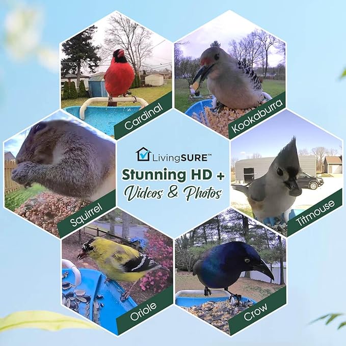 LivingSURE 2-in-1 Smart Bird Feeder with Camera Outdoor Solar Powered Smart Birdfeeder Live Stream Video Camera with AI Recognition for Outside Wild Birds Garden Decor - Bird Lover Gifts
