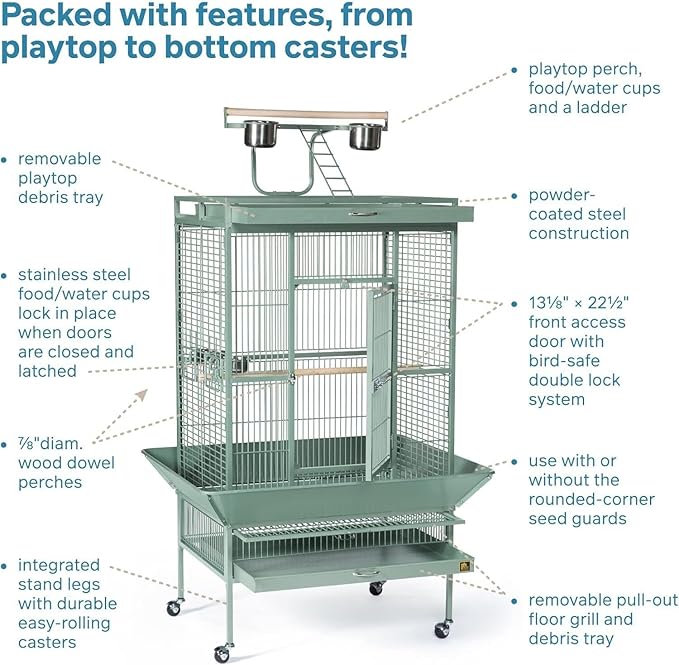 Suburban Sophistication Playtop Bird Home with Spacious Design, Durable Materials, Removable Perches Medium/Sage Green