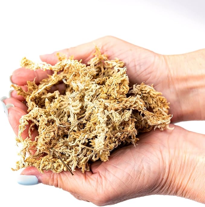 Gardenera Premium New Zealand Sphagnum Moss - Organic Hand Mixed Long Fibered Sphagnum Moss Orchid - 5 Quart
