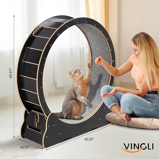 VINGLI Cat Wheel, Large Exercise Wheel for Indoor Cats, Silent Cat Running Wheel with Safety Lock, Black (43.3 inch)