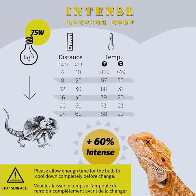 Reptile Heat Lamp, 2 Pack 75W Intense Basking Bulbs Light for Reptiles, UVA Daylight Basking Light for Bearded Dragon, Lizard, Gecko,Turtle, Reptile Heat Bulb