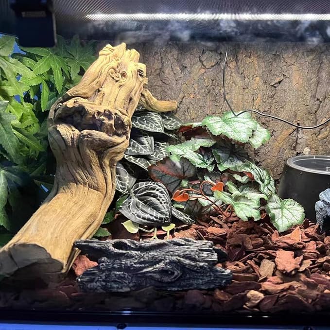 Reptile Plants for Terrarium,Amphibian Habitat Decor,Artificial Plants for Gecko Chameleon Snake Tortoise Bearded Dragon Tank Accessories with Base（Anthurium Crystallinum）