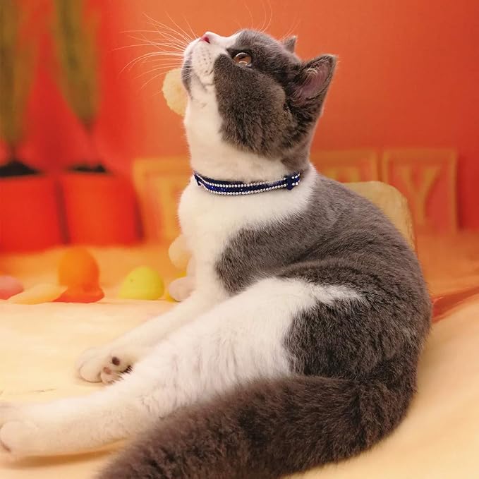 THAIN Basic Adjustable Cat Collar Bling Diamond Breakaway with Bell for Kitten Girl boy (Blue)