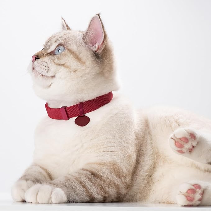 Safety Cat Collar Pro and Tag Set - U.S. IDA Gold Award, Elastic Release Cat Collar Charm Tag, Non Breakaway Cat Collar Adjustable with Charm for Kitten Small Large Cats (Midnight Black, M)