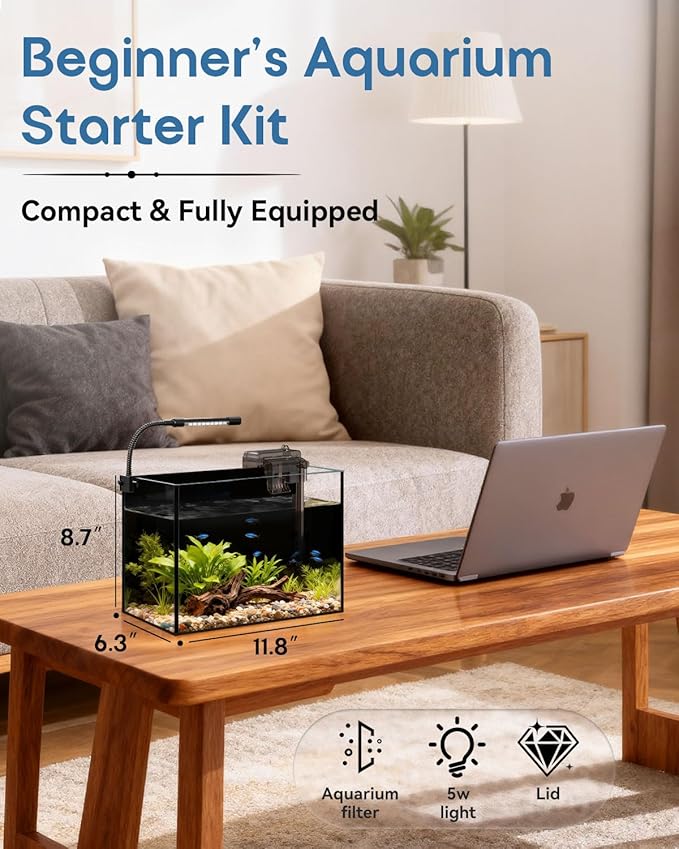 Glass Fish Tank Kit, 2.5 Gallon Betta Fish Tank Aquarium Starter Kit with Filter, Lights, Lid, for Betta, Goldfish, Small Fish or shrimg