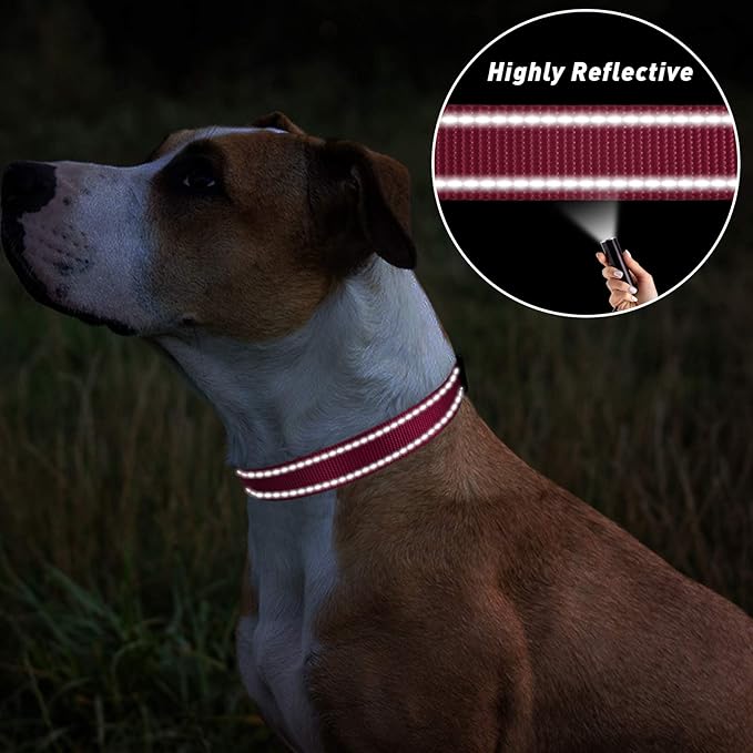 TagME Dog Collar, Adjustable Reflective Nylon Pet Collar with Quick Release Buckle for Medium Dogs, Hot Pink, 1.0" Width