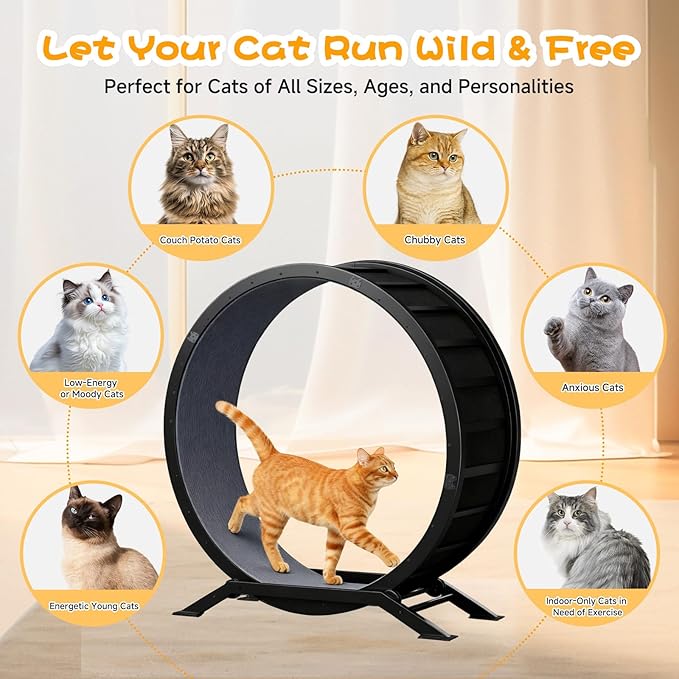 GTPLAYER Cat Wheels, Large Cat Exercise Wheel for Indoor Cats, 40"Diameter cat treadmill Detachable Carpet & Teaser, stickers, Ultra-quiet scroll wheel With latch, Suitable for Most Cats, Metal, Black