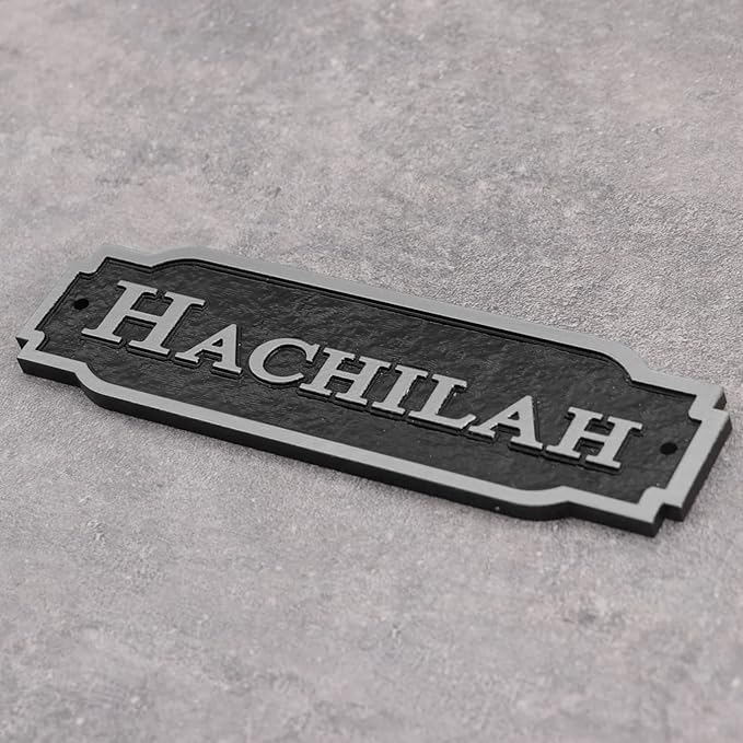 Acrylic Horse Stall Name Plate, 2.4" x 8" Personalized Stall Signs, UV Protected, Custom Pet Name Sign, All Weather Adhesive, Mounting (Silver, Style 2)
