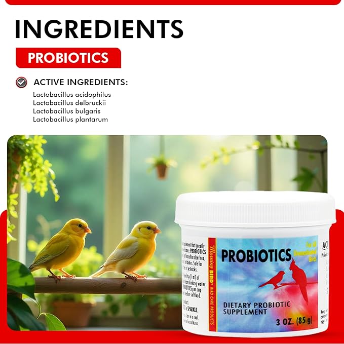 Morning Bird Probiotics for Birds 3 oz – Digestive Health Supplement Supporting Gut Balance, Nutrient Absorption & Immune Support – Easy Mix Powder Supplement for All Bird Species