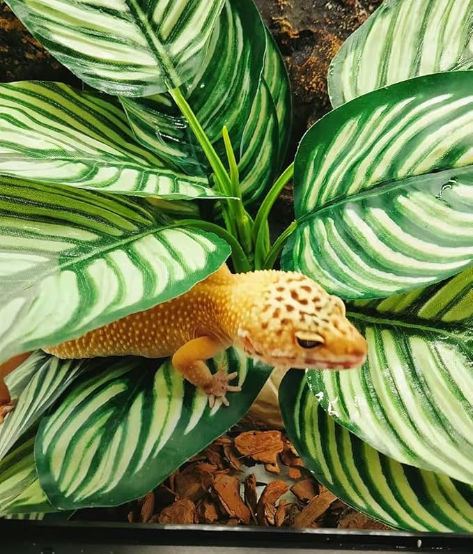 Reptile Terrarium Decor,Amphibian Habitat Decor,Artificial Plants for Crested Gecko Tank Accessories Suitable for Leopard Gecko Bearded Dragon Lizard Chameleon Snake Tortoise (Calathea makoyana-D)