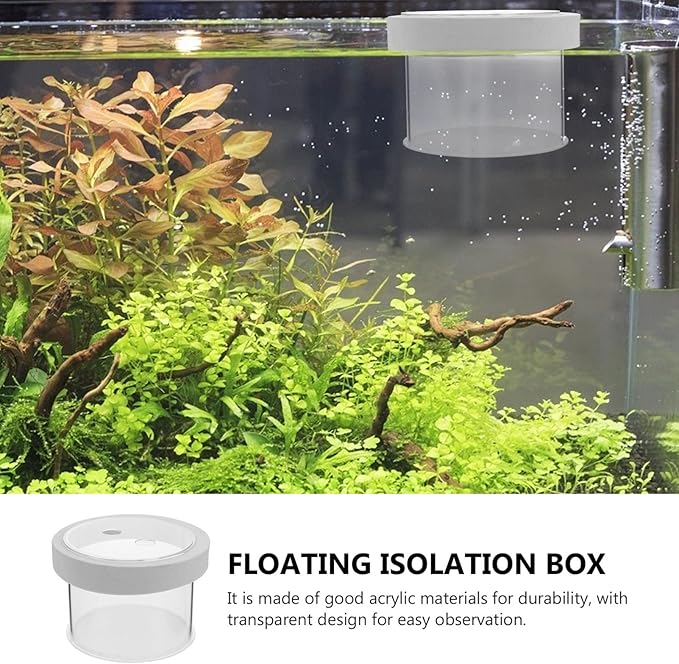Breeder Box for Fish Tank : Acrylic Floating Aquarium Breeding Box Transparent Fish Tank Hatchery Incubator for Clownfish Guppy Shrimp, 4.72X4.72X3.14in