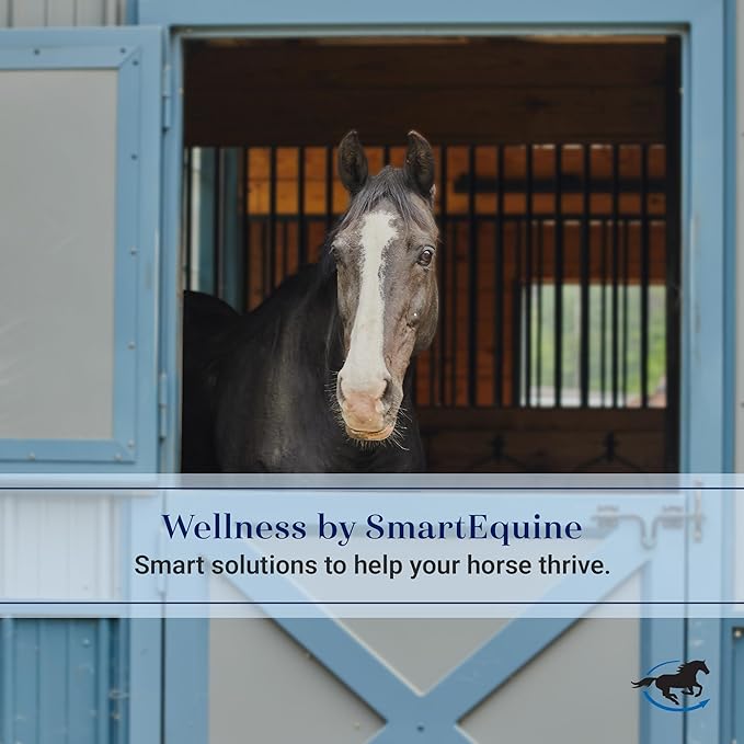 SmartEquine Stall Chain | Stall Area Fence Gate Hardware | Standard Size | Features 2 Double-Ended Snaps | 1" Wide Rubber | 45.5" Long | Hunter