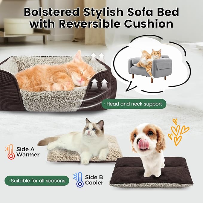 Miguel Washable Cat Bed for Indoor Cats With Removable Cushion, Easy to Wash Small Pet Sofa With Side, Rectangle Bolster Kitten Calming Cuddle Puppy Bed, Anti-Slip Bottom, Brown 20 Inch