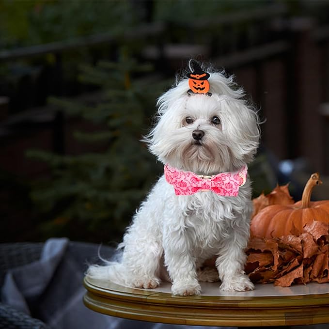 Dog Collar, Pink Pumpkin Print Adjustable Pet Collar Cute Cotton Soft Collars with Bow Tie Fall Metal Buckle Holiday Puppy Collars Boy&Girl Gift for X-Small Dogs