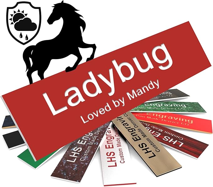 Personalized Horse Stall Name Plates, 2x10 Horse Stall Signs with Adhesive, All Weather UV Protected, Red Plastic White Letters - Made in USA - B7